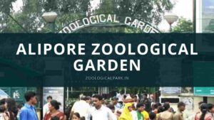 Alipore Zoological Garden - zoologicalpark