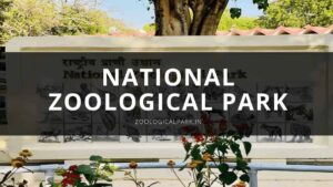 Delhi Zoo: National Zoological Park