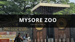 Mysore Zoo: Sri Chamarajendra Zoological Gardens