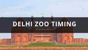 Delhi Zoo Timing