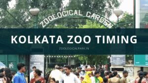 Kolkata Zoo timing feature image