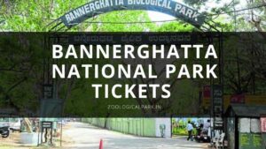 Bannerghatta National Park tickets
