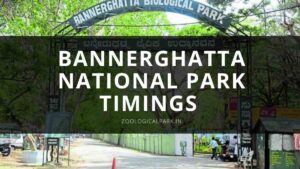 Bannerghatta national park timings