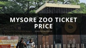 Mysore Zoo ticket price