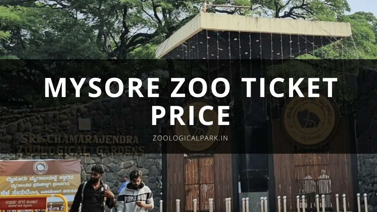 mysore zoo safari ticket price online booking