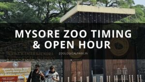 Mysore Zoo timings & open hour [Updated] -