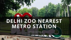 delhi zoo nearest metro station